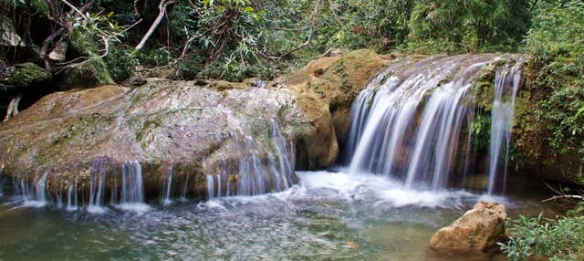 Escursione a Las Terrazas e al Salto de Soroa