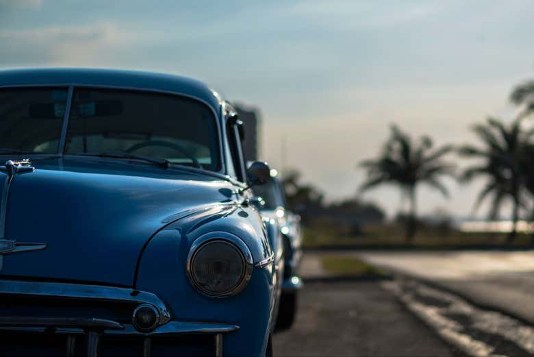 Imagen 13