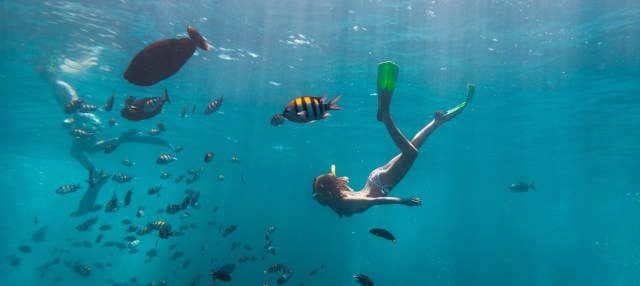 Snorkeling a L'Avana