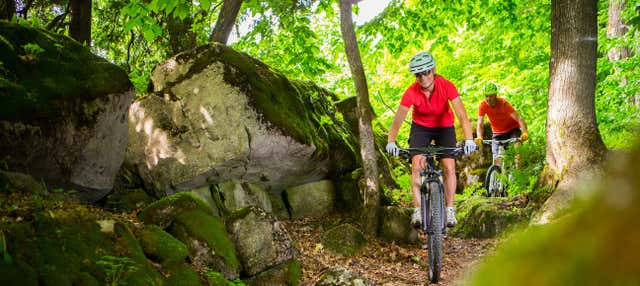 Tour della foresta dell'Avana in bici