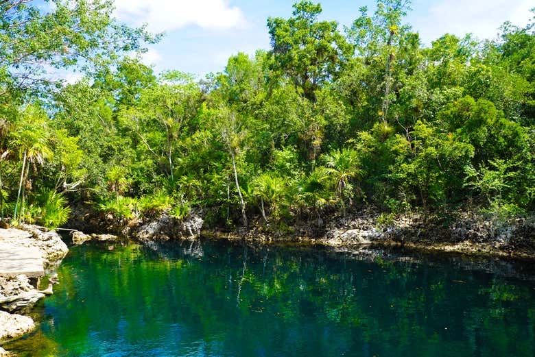 Ver más fotos