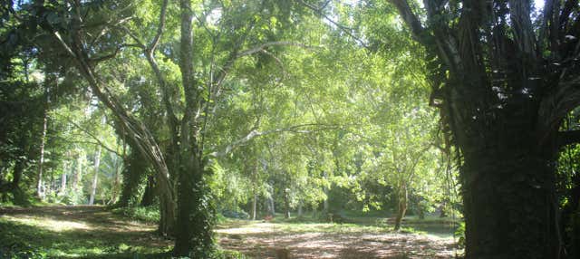 Escursione ai Giardini Hershey in moto