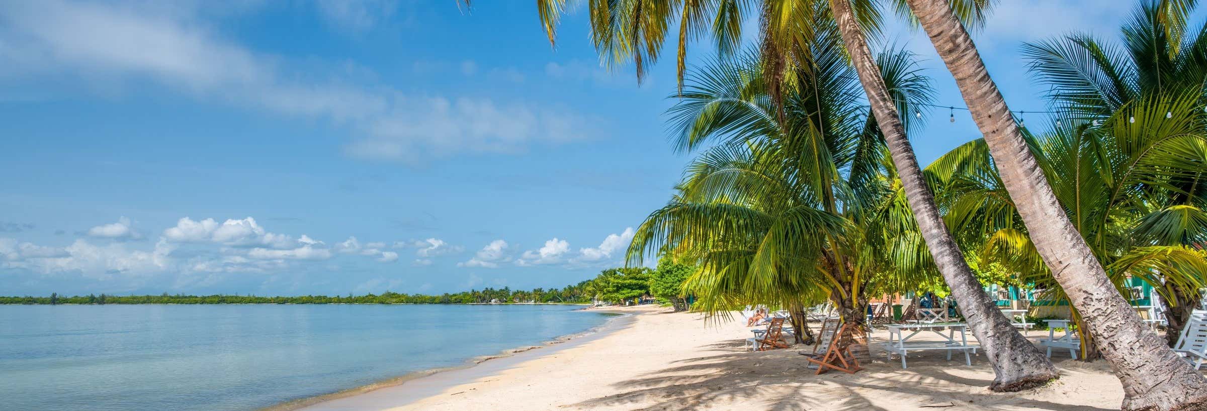 Escursione a Playa Bonita