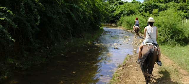 Escursione a cavallo alla cascata El Pilón