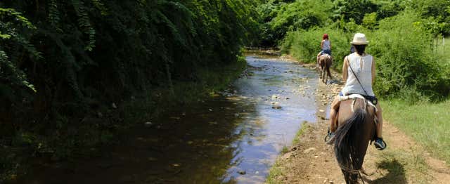 Balade à cheval jusqu'à la cascade d'El Pilón
