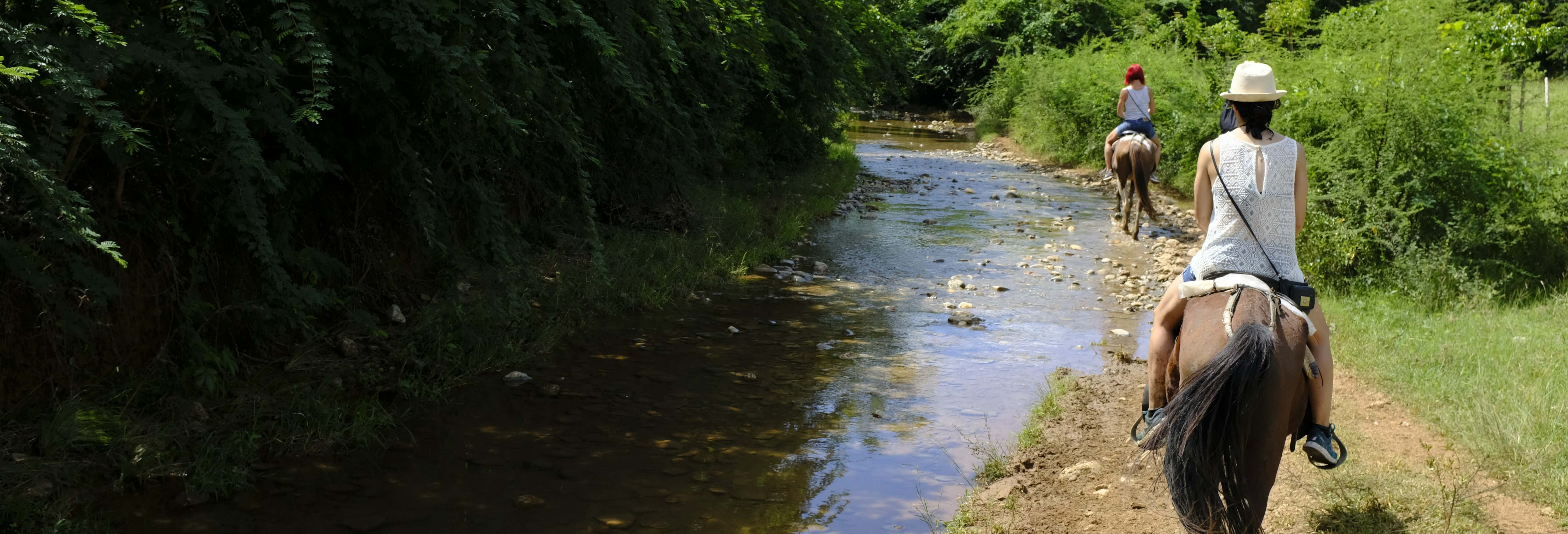 Escursione a cavallo alla cascata El Pilón