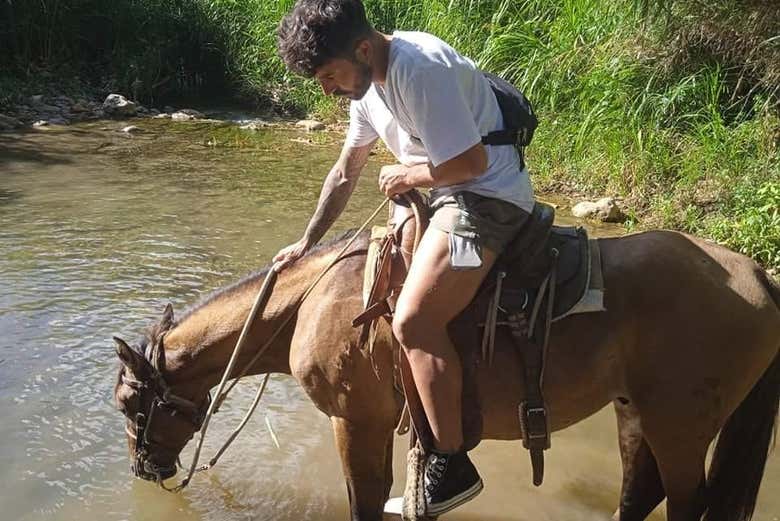 Imagen 4