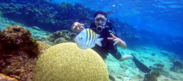 Immersione alla Baia dei Porci