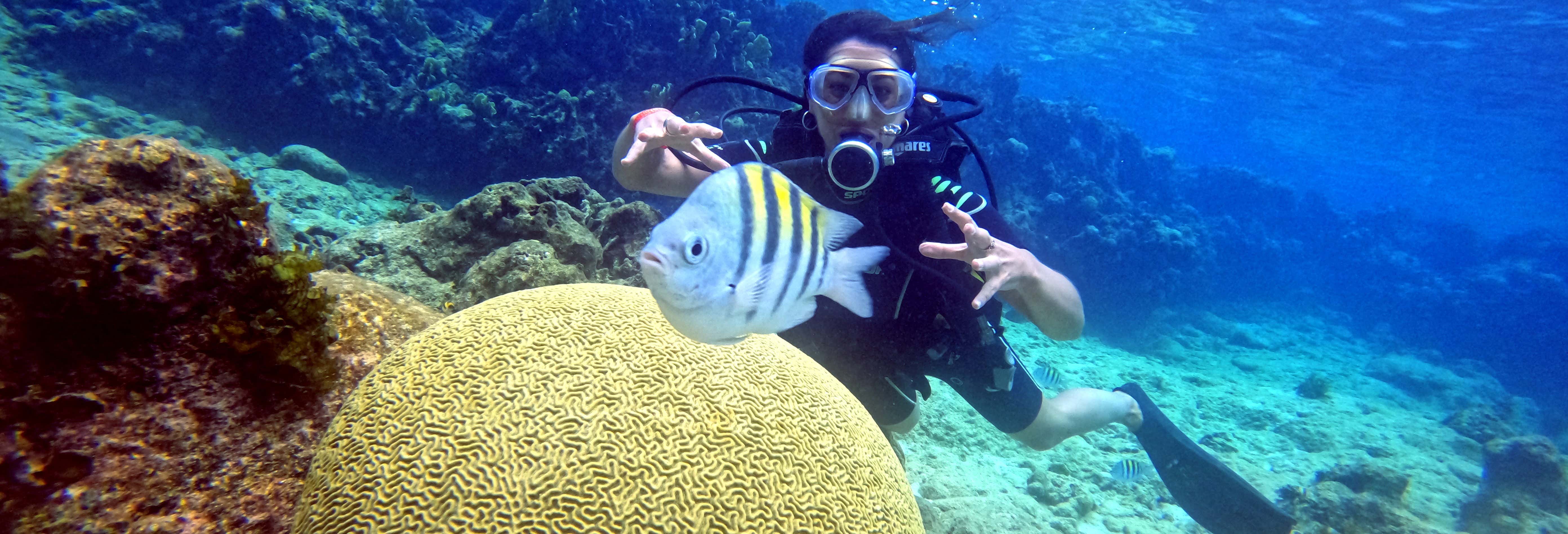 Immersione alla Baia dei Porci