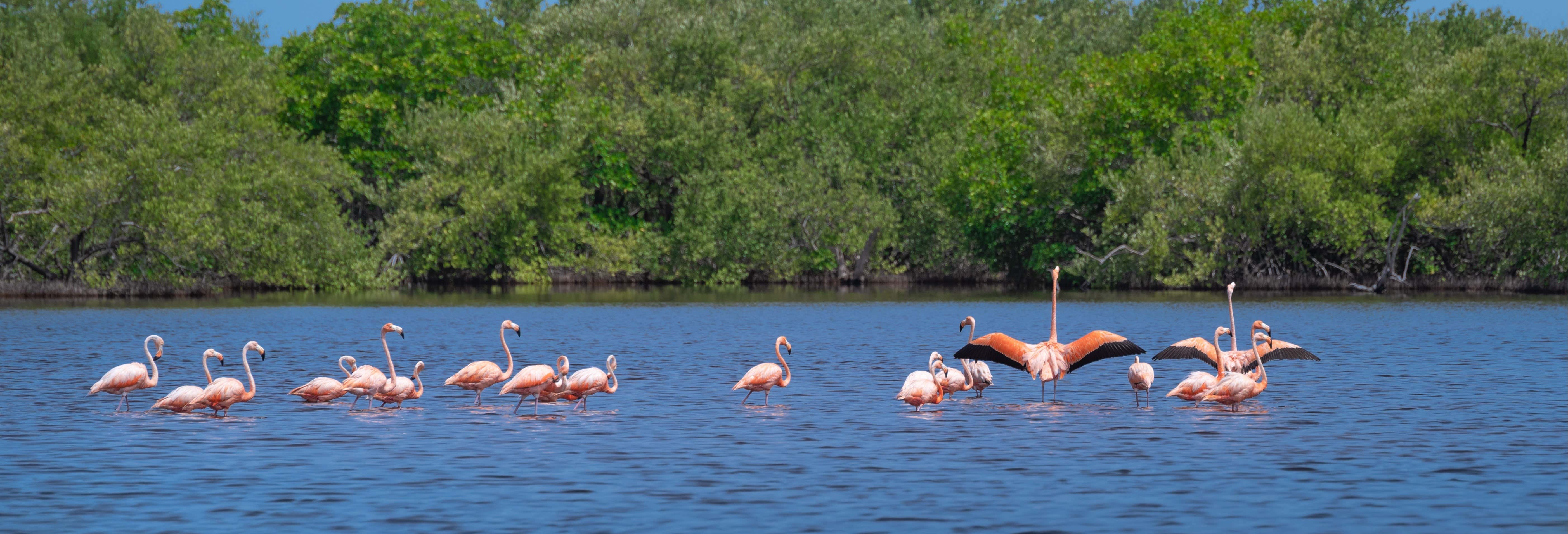 Escursione al Parco Nazionale Ciénaga de Zapata