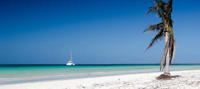 Escursione privata a Cayo Blanco in catamarano