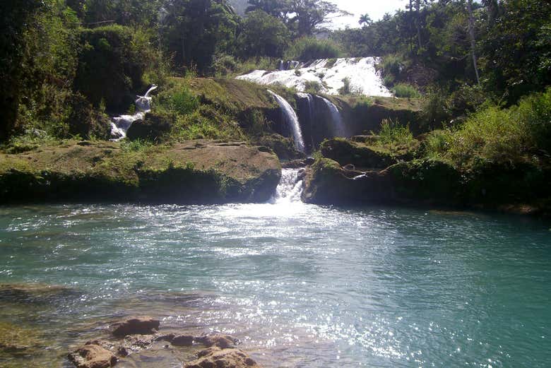 Imagen 4