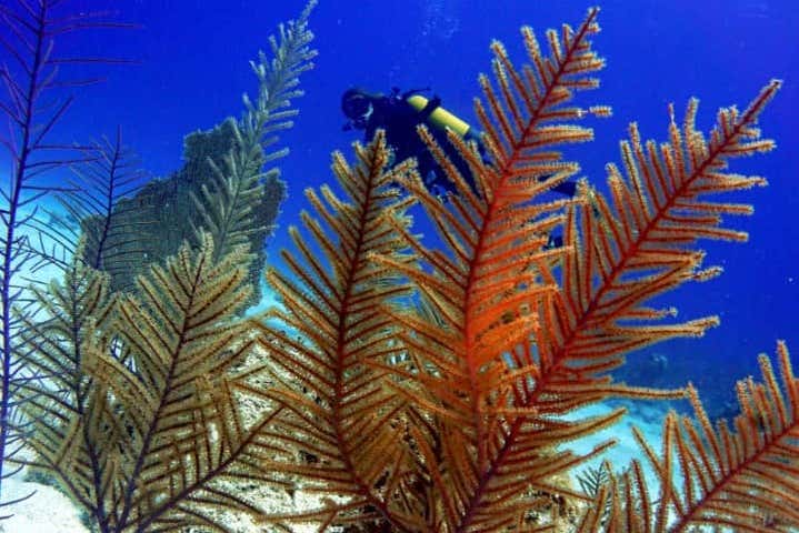 Imagen 8