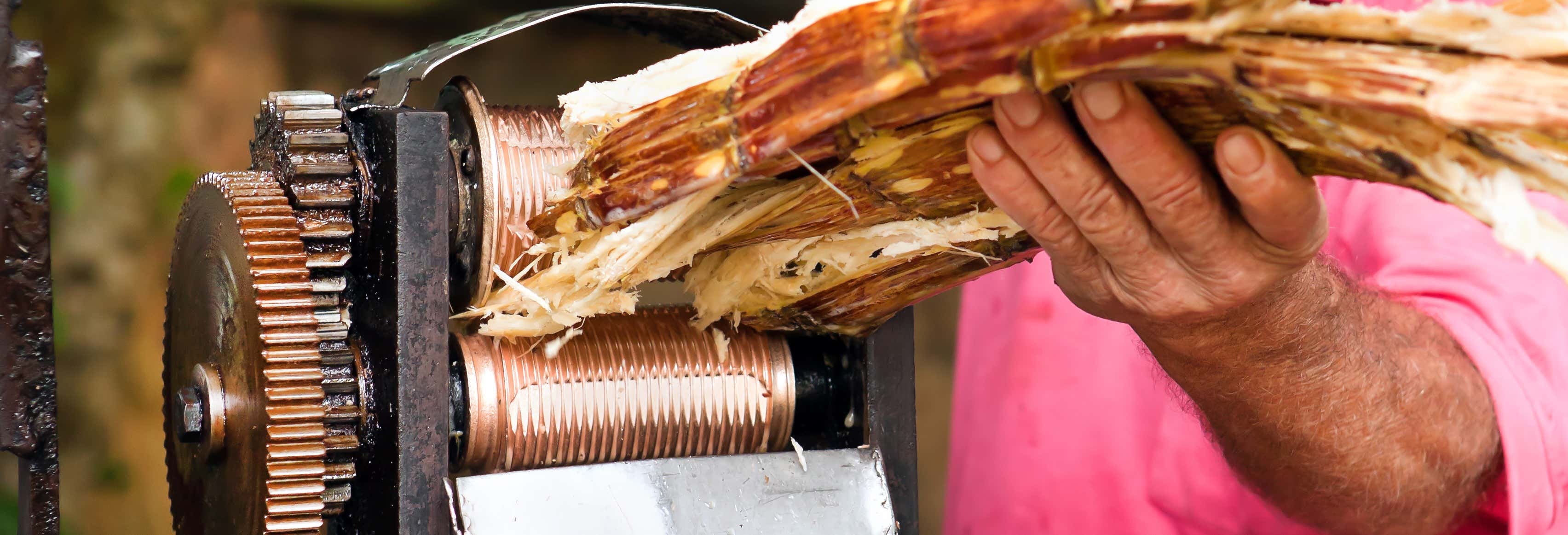 Museo dello Zucchero + Finca Coincidencia + Vivaio di Cárdenas