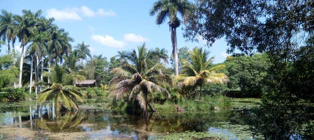Tour d'avventura nei fiumi Hatiguanico e Guamá