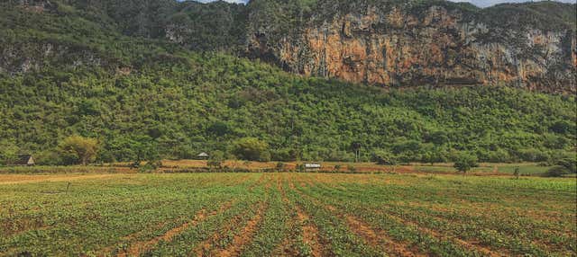 Trekking alla Valle de Palmarito