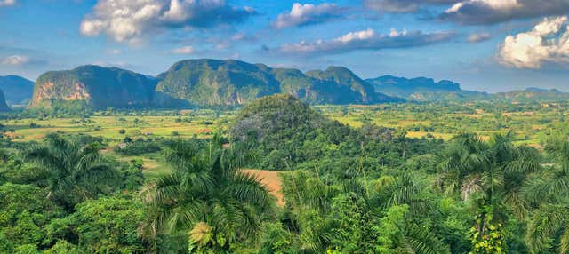 Tour privato della Valle di Viñales in auto d'epoca