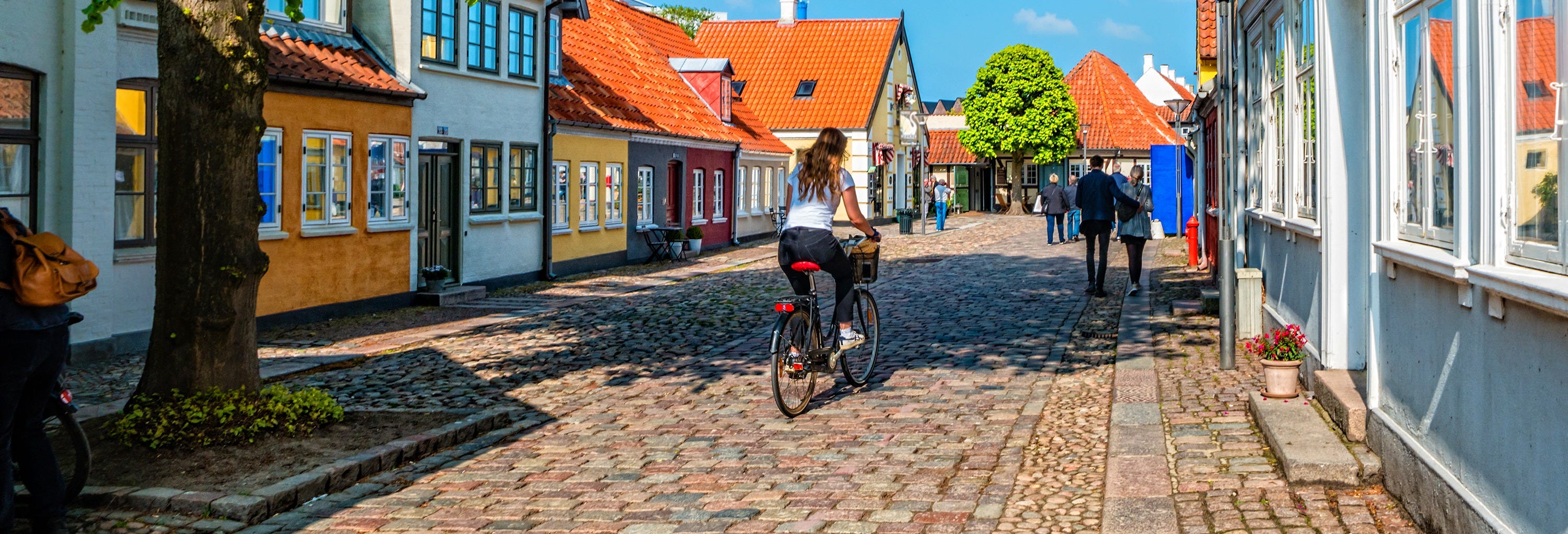 Odense Private Walking Tour