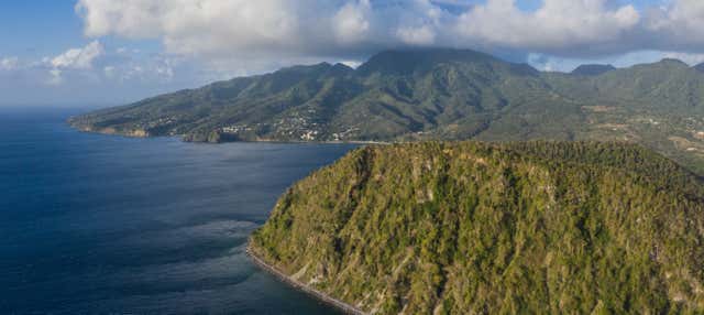 Escursione al Parco Nazionale Cabrits + Giro in barca sull'Indian River