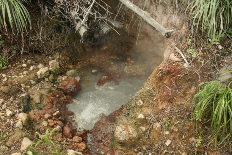 Imagen 5
