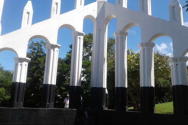 Imagen 6
