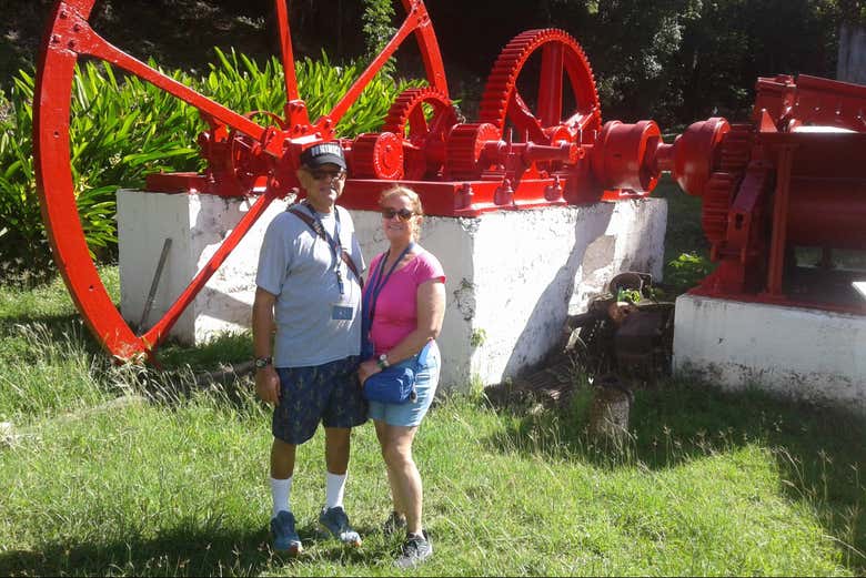 Imagen 7