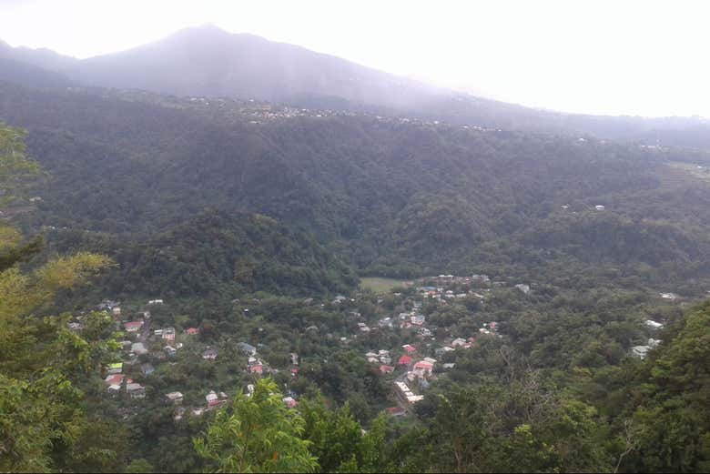 Imagen 6