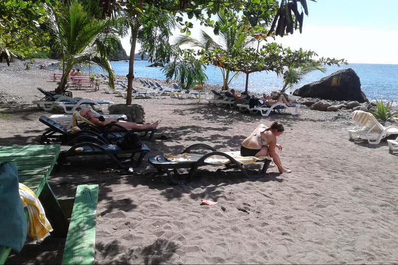 Imagen 5