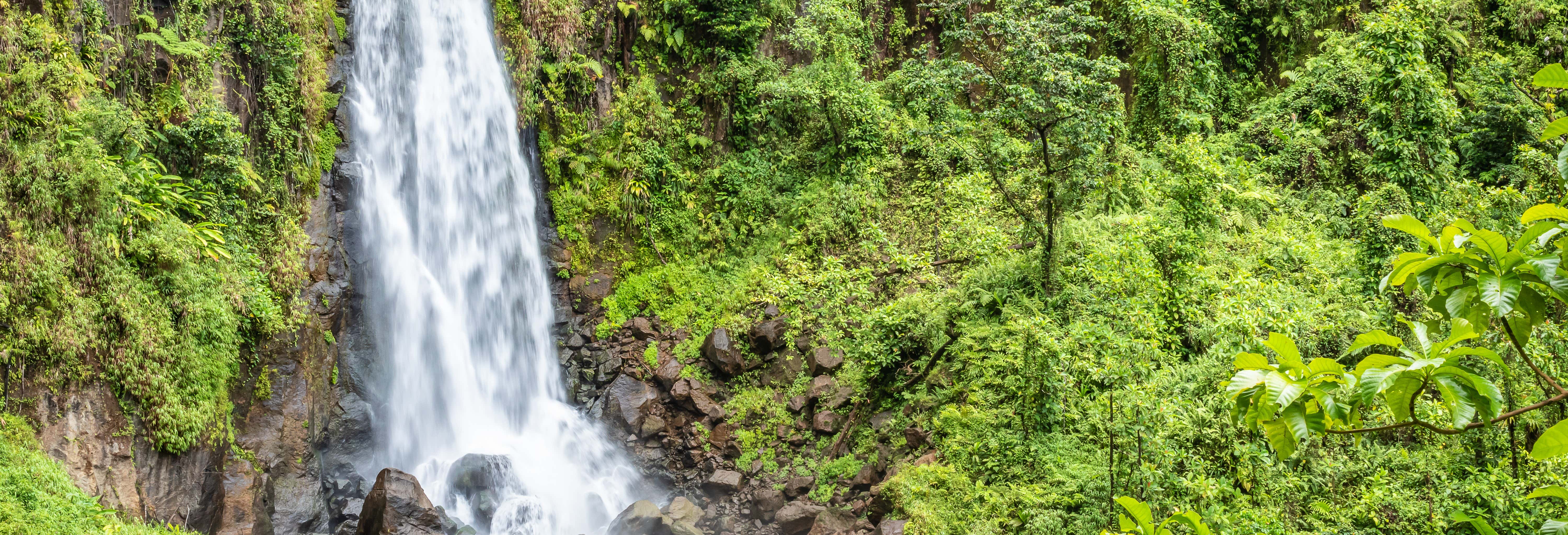 Piscina Smeraldo e Cascate di Trafalgar per croceristi