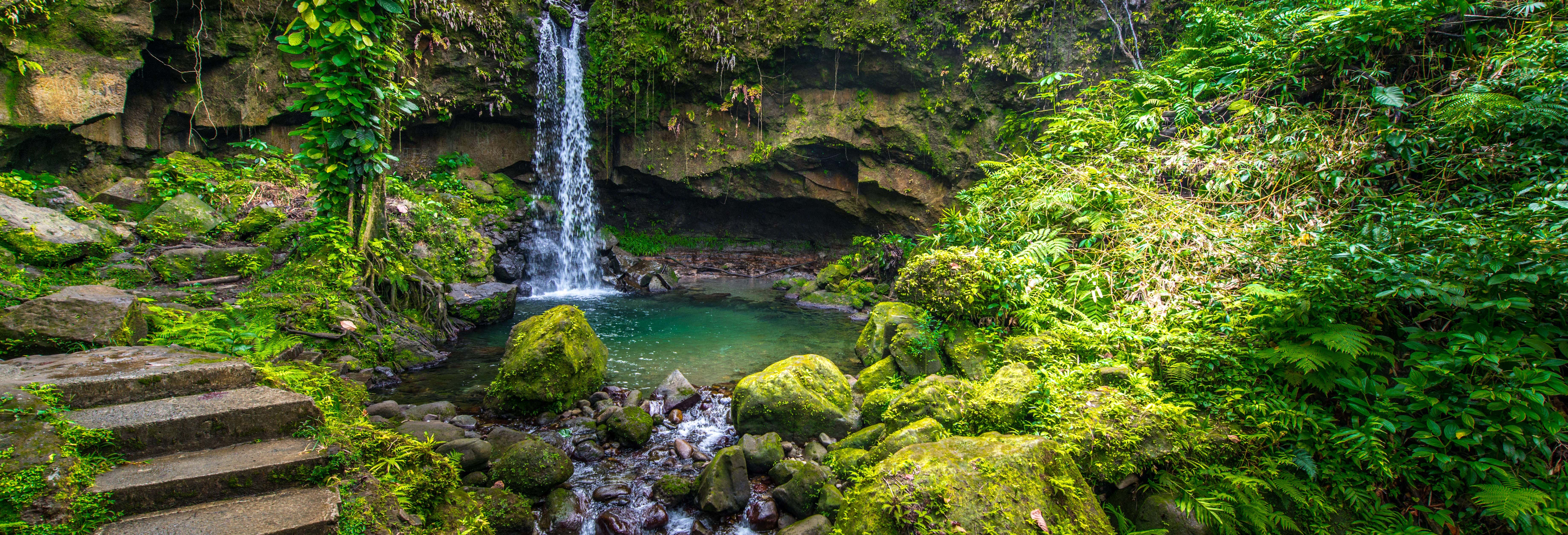 Escursione all'Emerald Pool, Spanny Falls e Giardino Botanico