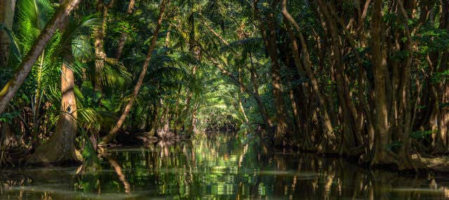 Trekking a Dublanc + Giro in barca sul fiume Indio per croceristi