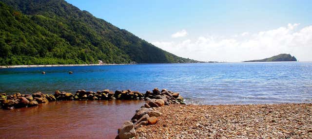 Snorkeling alla Champagne Reef