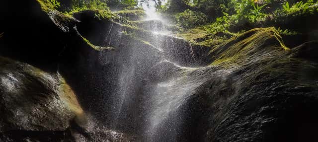 Escursione a Titou Gorge, cascate di Trafalgar e Wotten Waven