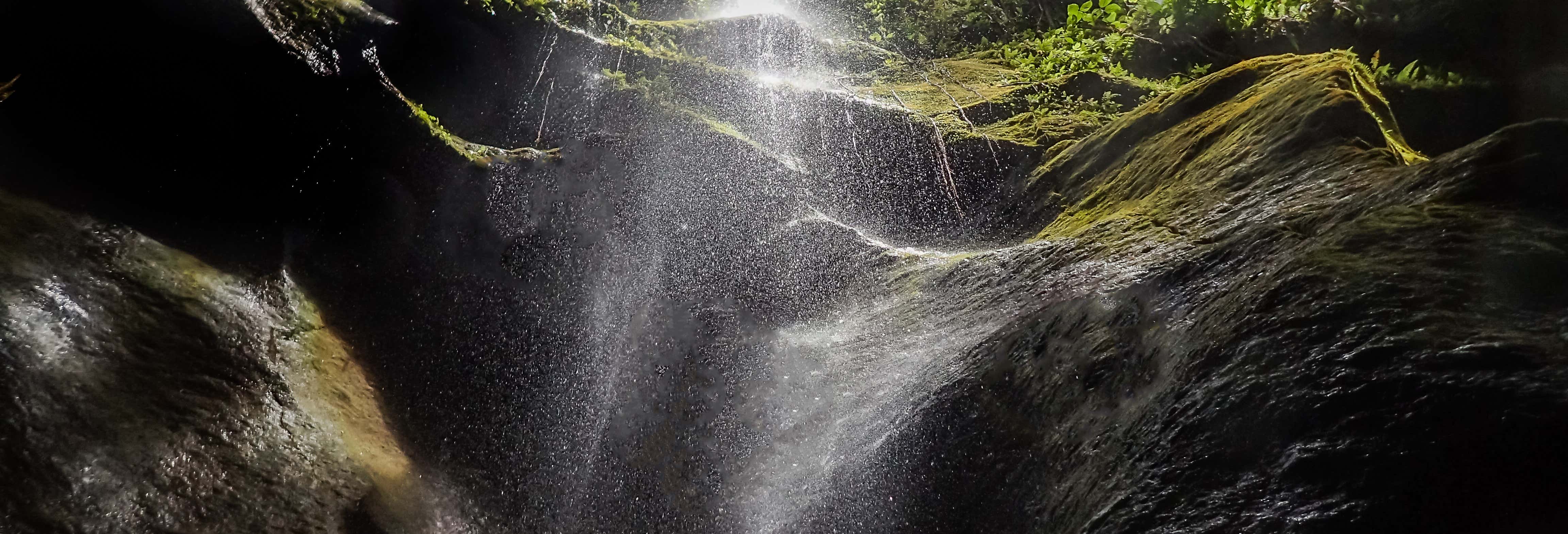 Escursione a Titou Gorge, cascate di Trafalgar e Wotten Waven