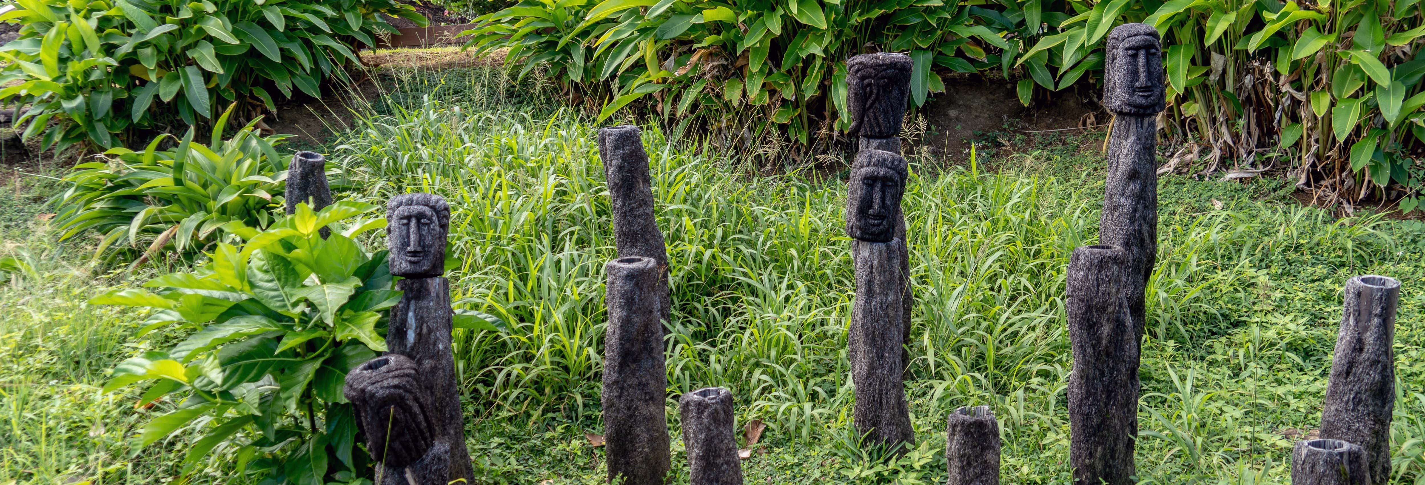 Tour della cultura kalinago per croceristi