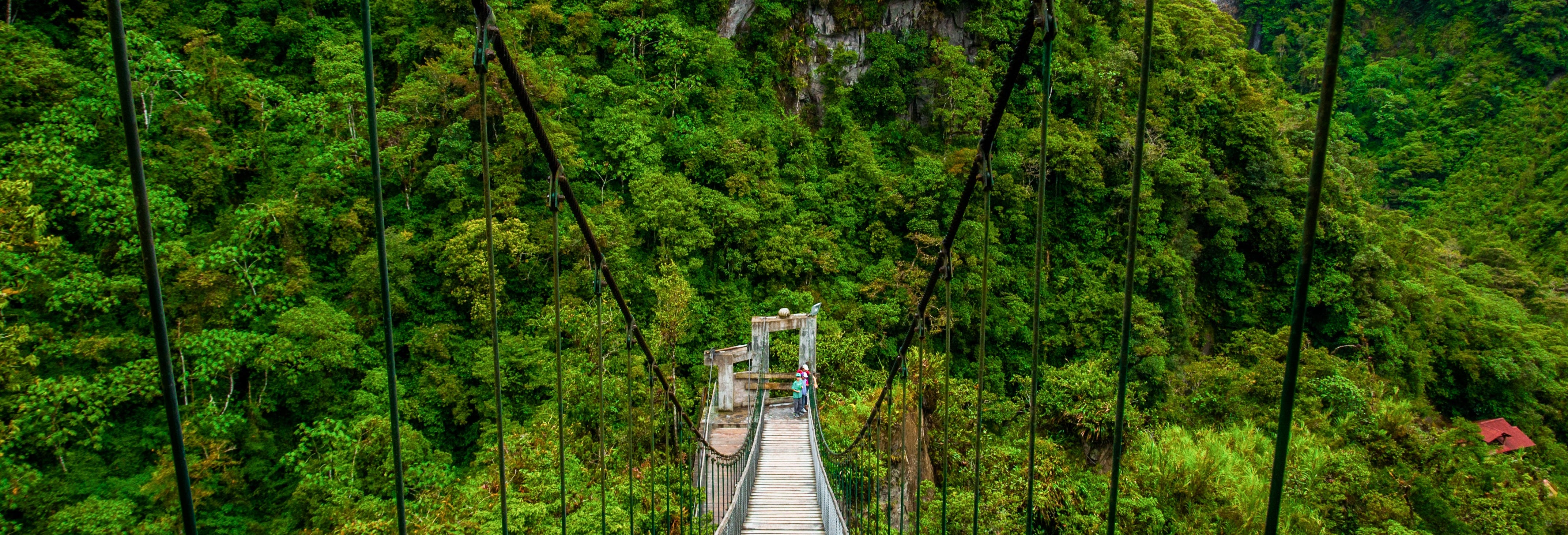 Baños de Agua Santa & Waterfall Route Tour