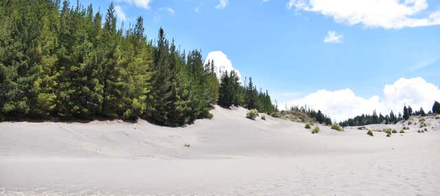Escursione al deserto di Palmira e alle lagune di Altillo