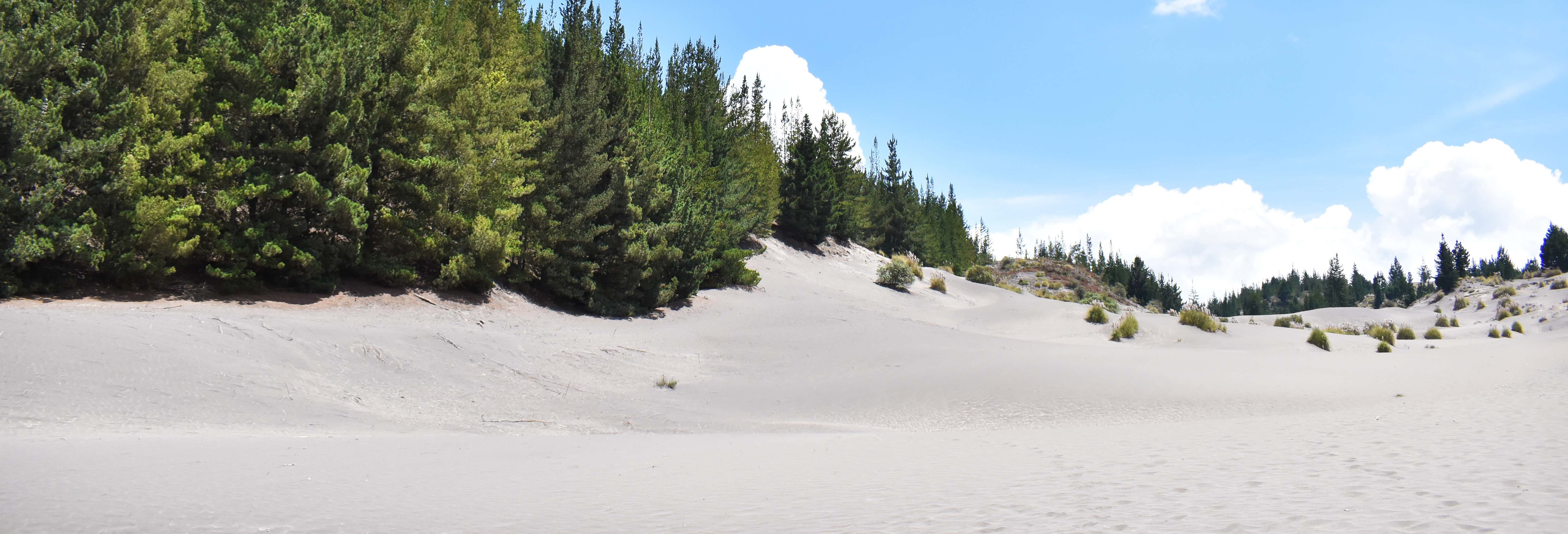 Escursione al deserto di Palmira e alle lagune di Altillo