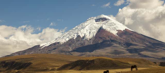 Escursione al vulcano Cotopaxi