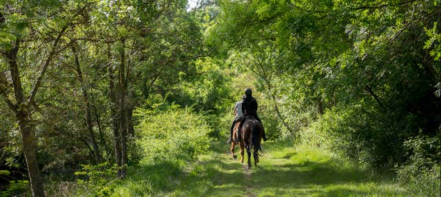 Passeggiata a cavallo a Baños de Agua Santa