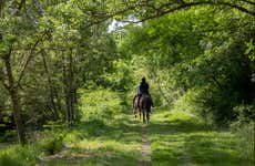 Baños de Agua Santa Horseback Riding