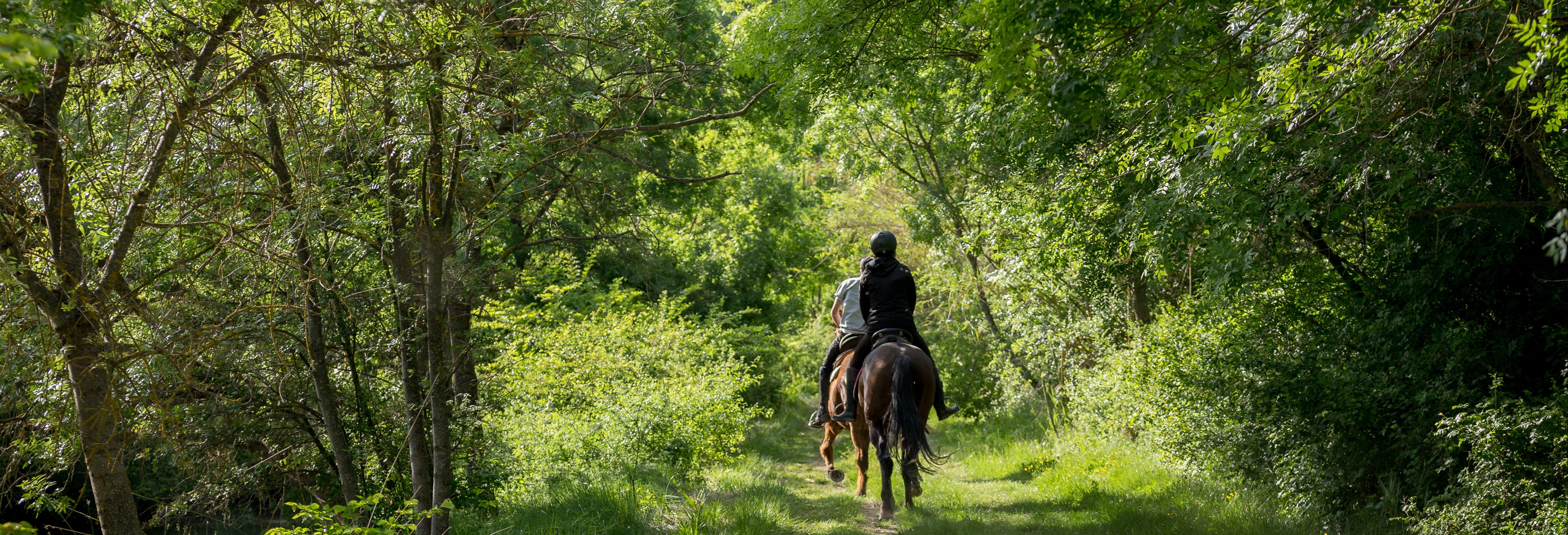 Baños de Agua Santa Horseback Riding