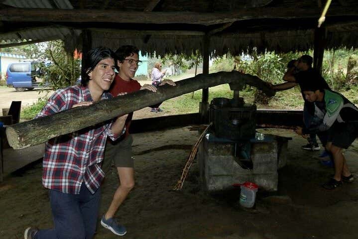 Imagen 7