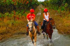 Horse Riding in Bucay