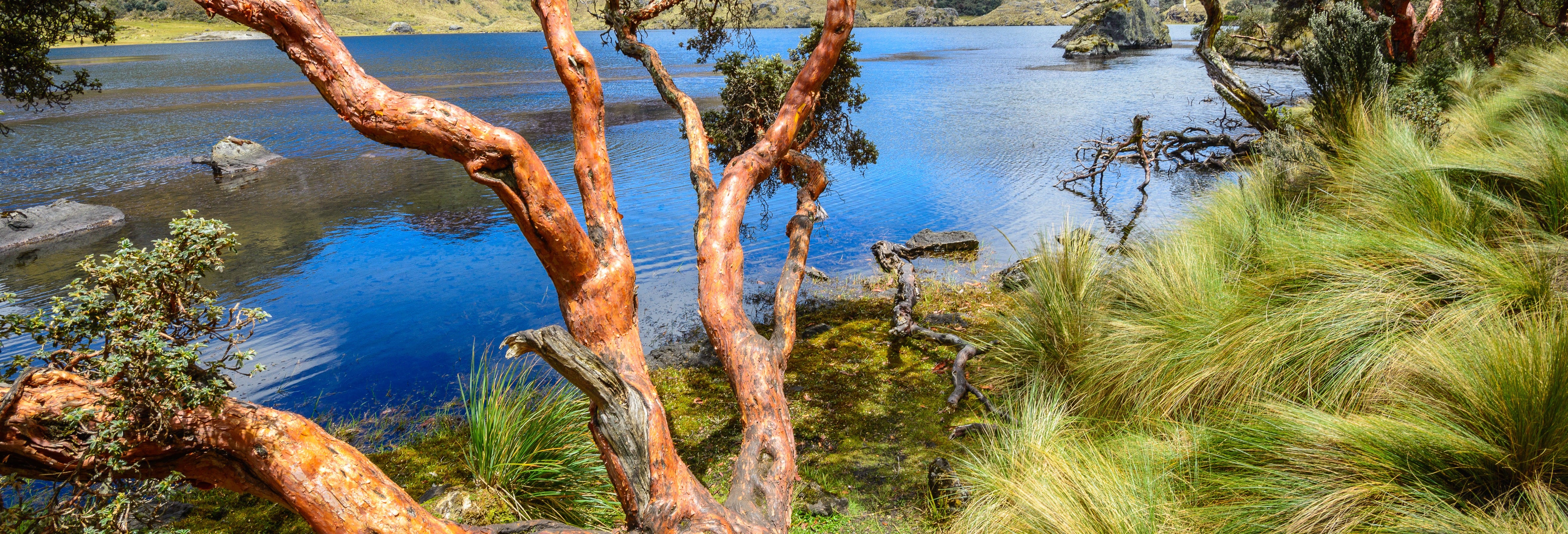 Cajas National Park Tour