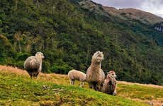 Hiking in the Cajas National Park