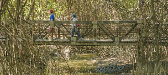 Escursione alla foresta Cerro Blanco
