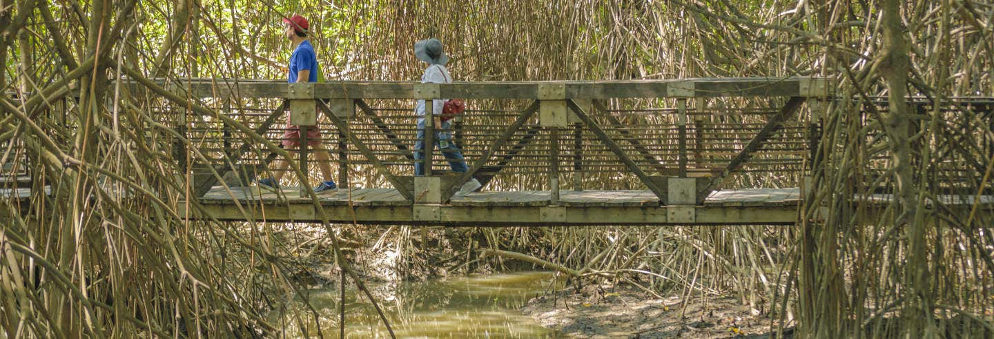 Escursione alla foresta Cerro Blanco