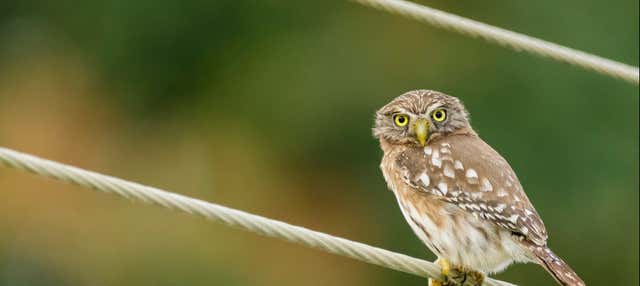 Escursione a Manglares Churute