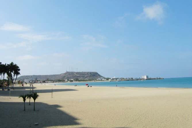 Imagen 6